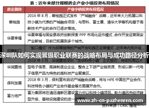 深圳队如何实现晋级职业联赛的战略布局与成功路径分析