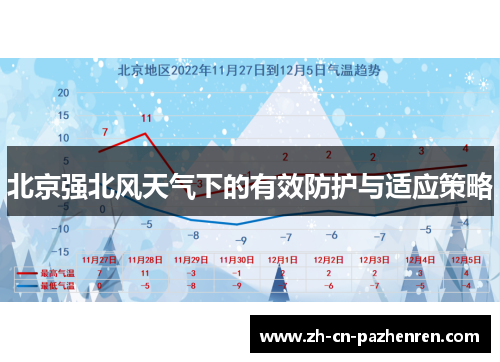 北京强北风天气下的有效防护与适应策略