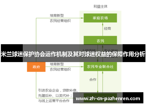 米兰球迷保护协会运作机制及其对球迷权益的保障作用分析