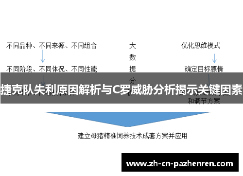 捷克队失利原因解析与C罗威胁分析揭示关键因素