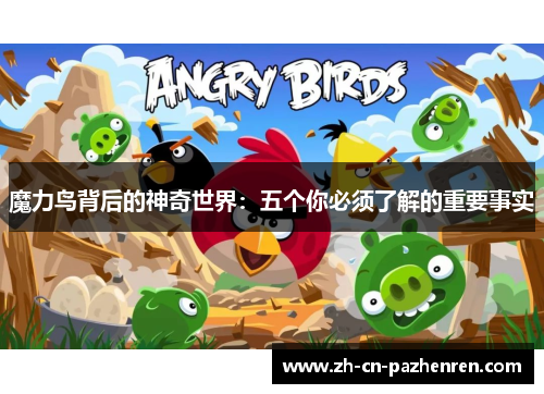 魔力鸟背后的神奇世界:五个你必须了解的重要事实 魔力鸟背后的神奇世界:五个你必须了解的重要事实