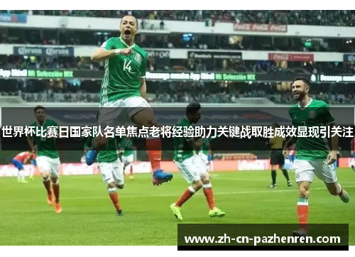 世界杯比赛日国家队名单焦点老将经验助力关键战取胜成效显现引关注