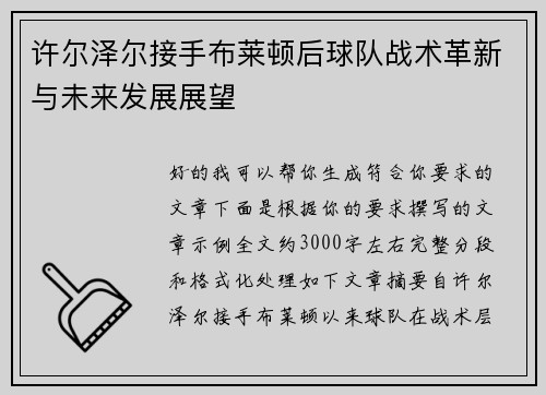 许尔泽尔接手布莱顿后球队战术革新与未来发展展望